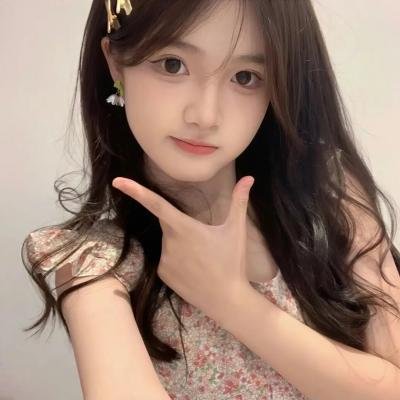 公仆2